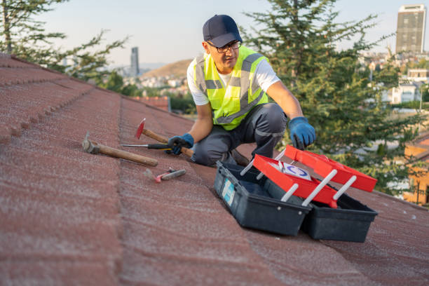 Best Historical Building Siding Restoration  in Prairie Grove, AR